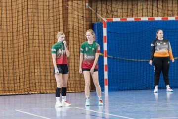 Bild 181 - F HSG Kremperheide/Muensterdorf - HSG Holstein Kiel/Kronshagen : Ergebnis: 31:26